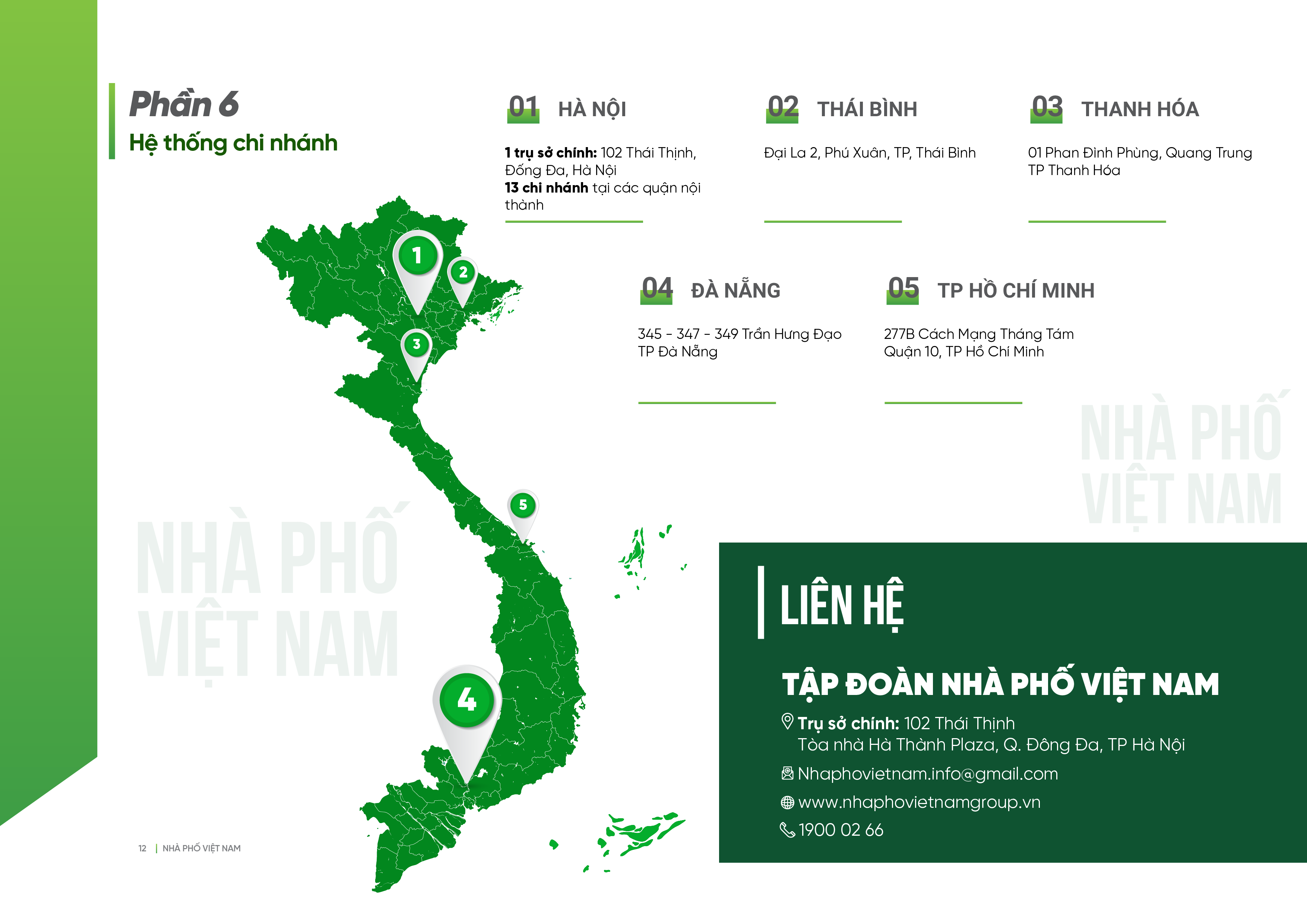 Ảnh 12